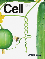 Cell期刊